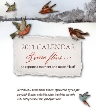 2011 Calendar Cover